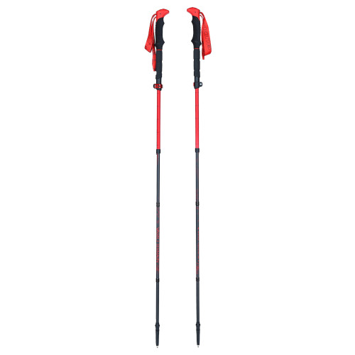Viking Spider FS Poles
