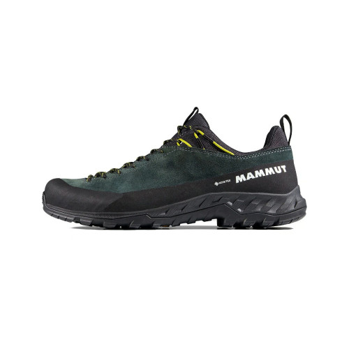 Mammut Alnasca IV Low LTH GTX
