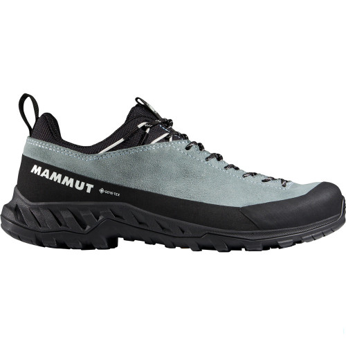 Mammut Alnasca IV Low LTH GTX W