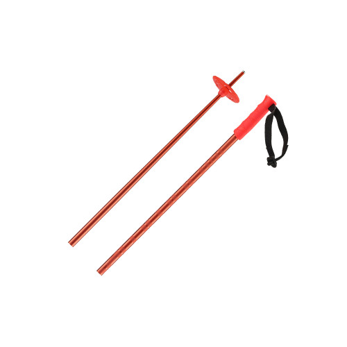 Salomon Hacker Poles