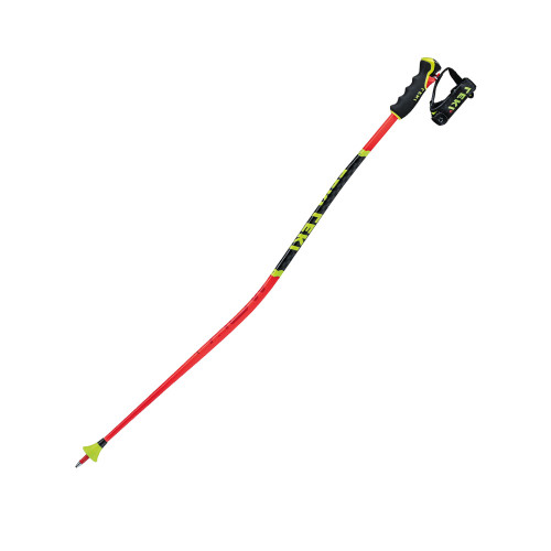 Leki WCR Lite GS 3D