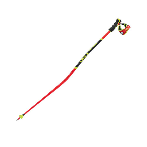 Leki WCR GS 3D