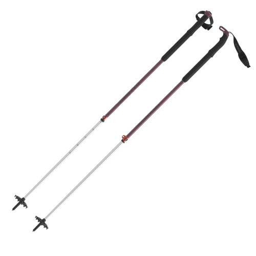 Atomic BCT Touring SQS Poles