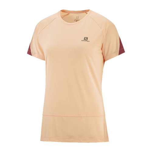 Salomon Cross Run T-Shirt - apricot ice/heather/cabernet
