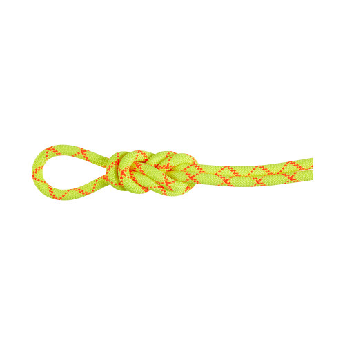 Mammut 9.5 Alpine Core Protect Dry Rope 50m