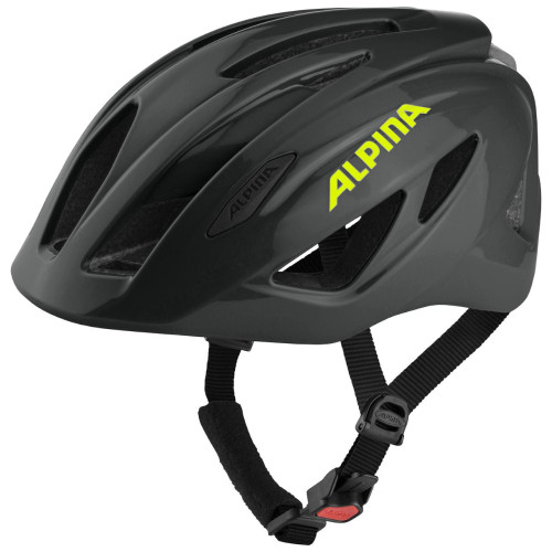 Alpina Pico Flash
