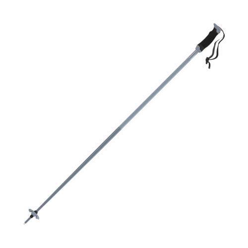 Atomic AMT SQS Poles