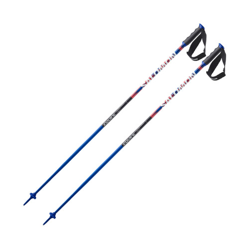 Salomon Equipe Alu Poles