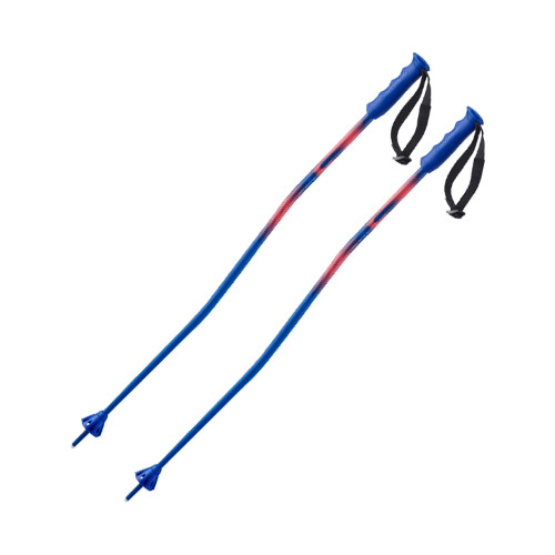Salomon Equipe GS Alu Poles Junior