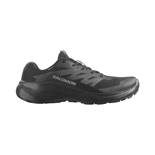Salomon Alphaglide GTX