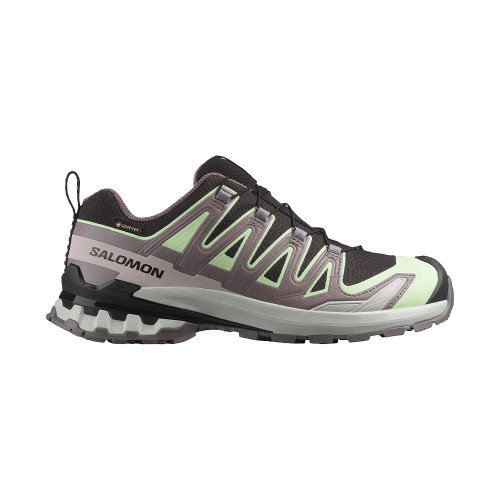 Salomon XA Pro 3D V9 GTX Women