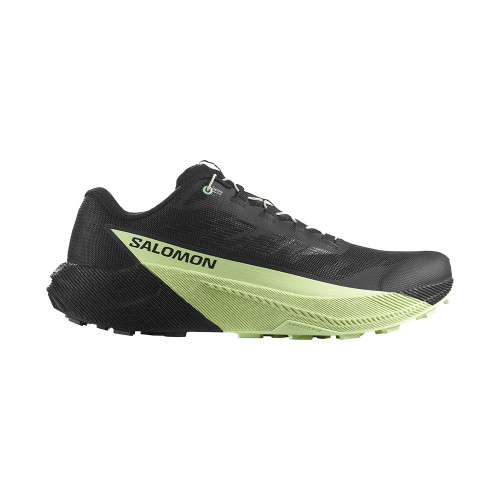 Salomon Pulsar