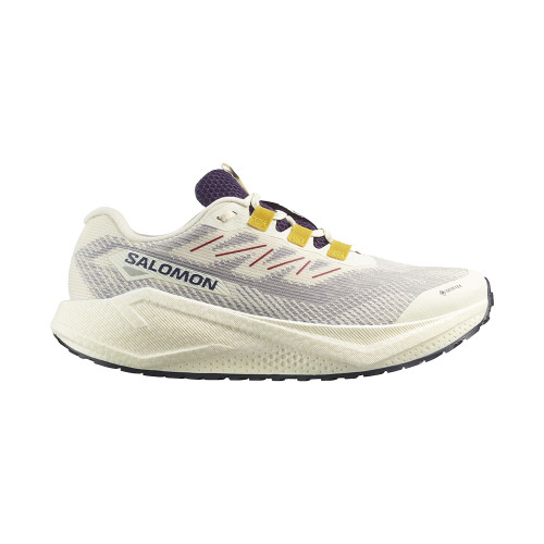 Salomon Aero Blaze 3 GRVL GTX