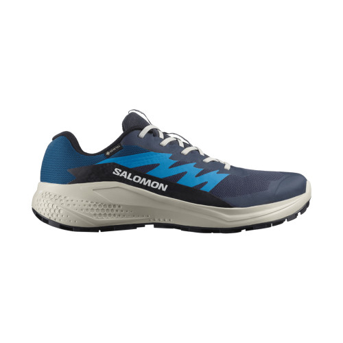 Salomon Alphaglide GTX