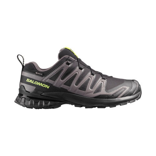 Salomon XA Pro 3D V9 GTX