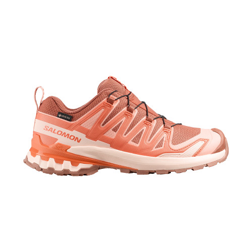Salomon XA Pro 3D V9 GTX Women