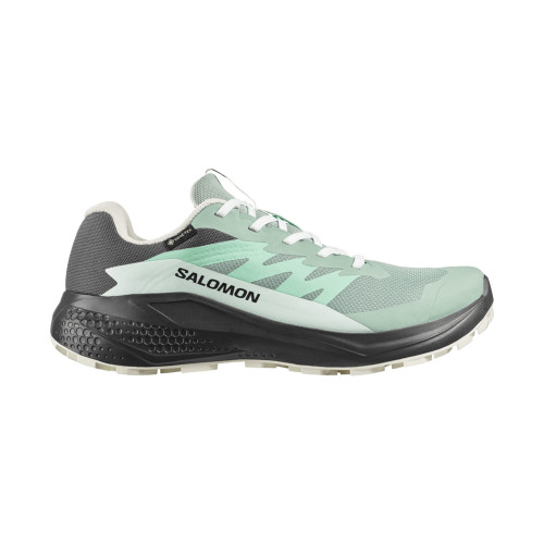 Salomon Alphaglide GTX Women