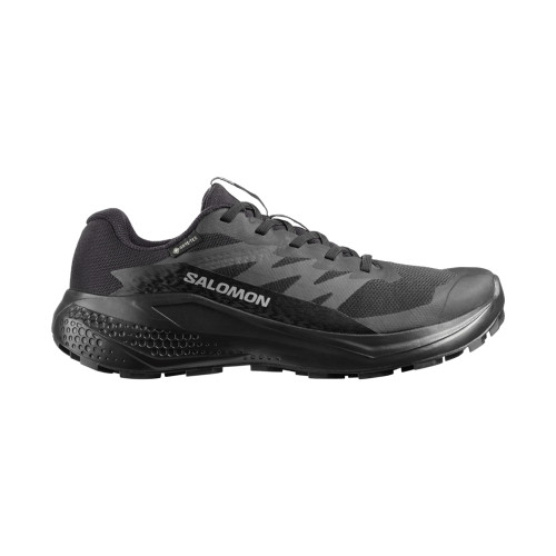 Salomon Alphaglide GTX Women