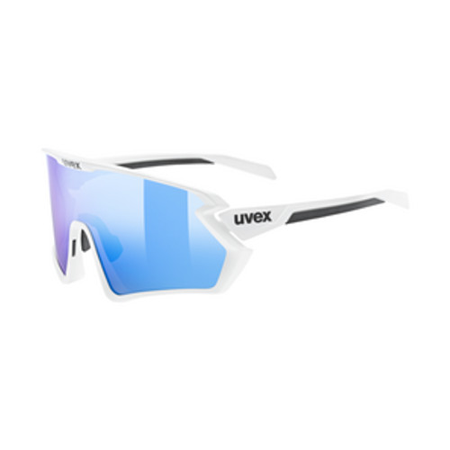 Uvex Sportstyle 231 2.0