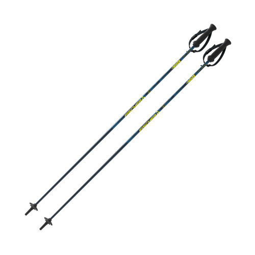 Fischer RC4 Noize Poles