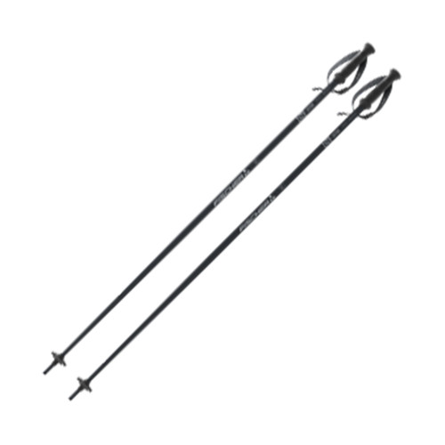 Fischer Lite Poles