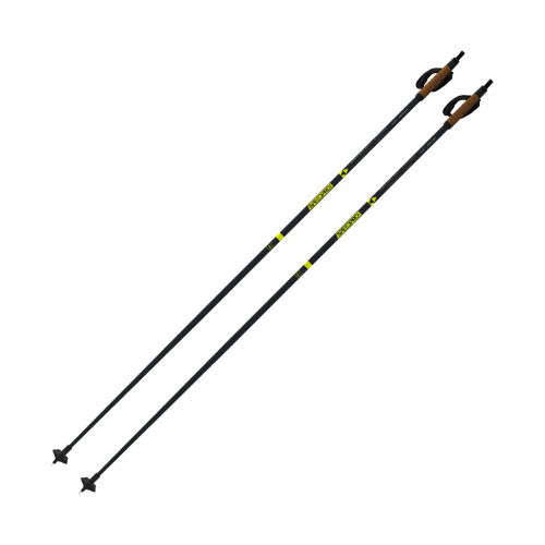Fischer Speedpro Poles