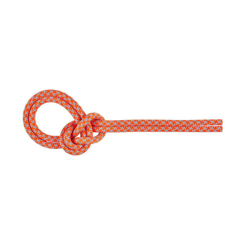 Mammut はやめ ロープ 8.0 phenix dry 70m