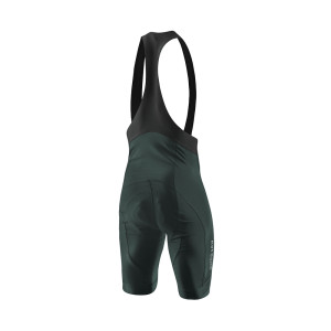 Löffler Hotbond Bike Bibshorts