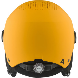 Alpina Zupo Visor Q-Lite
