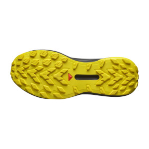 Salomon Genesis
