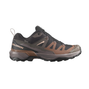 Salomon X-Ultra 360 GTX