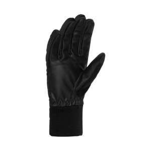 Daehlie Drift Gloves