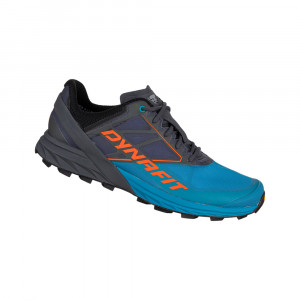 Dynafit Alpine Shoes