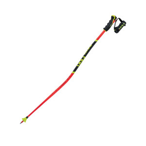 Leki WCR Lite GS 3D