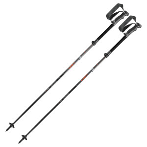 Leki Legacy FX TA