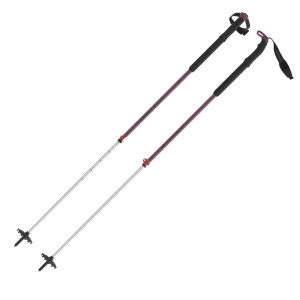 Atomic BCT Touring SQS Poles