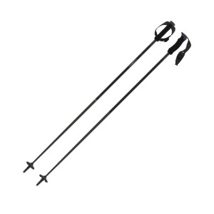 Atomic AMT Ultra SQS Poles