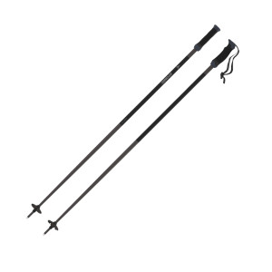 Atomic AMT SQS Poles