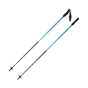 Atomic Redster Carbon Ultra Poles