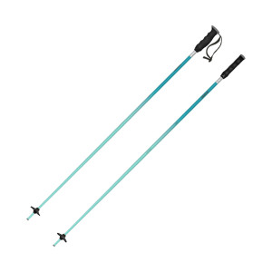 Atomic Redster Poles