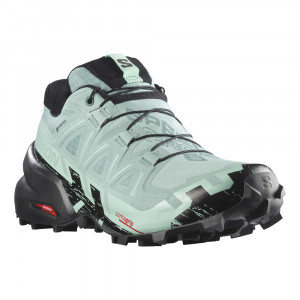 Salomon Speedcross 6 GTX Women