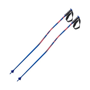 Salomon Equipe GS Alu Poles