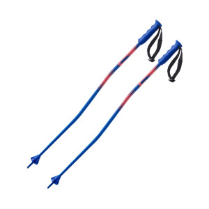 Salomon Equipe GS Alu Poles Junior