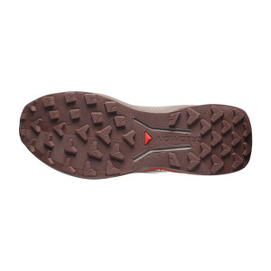 Salomon Genesis 2