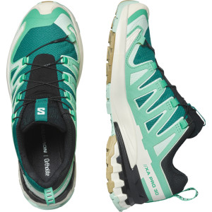 Salomon XA Pro 3D V9 GTX Women