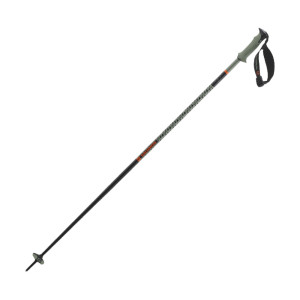 Salomon Polar Pro S3