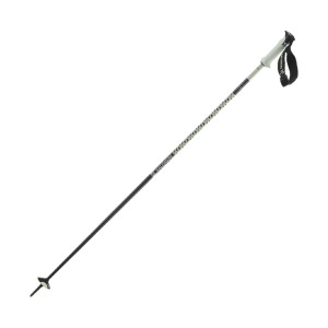 Salomon Polar Pro S3