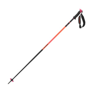 Salomon Polar Pro S3