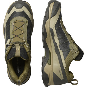 Salomon X Ultra 5 GTX