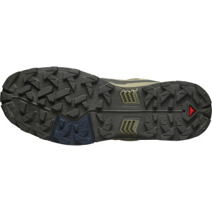 Salomon X Ultra 5 GTX